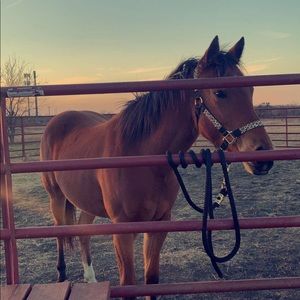 Meet your Posher, Breanna